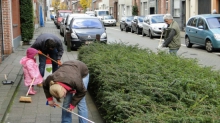 BOM actie 3/12/11