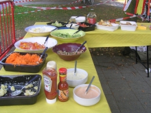 2008 BBQ