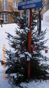 Kerstmis 2010