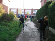 het team in actie